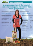 Nutrients from soil poster thumbnail and link to pdf