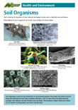 Soil organisms poster thumbnail and link to pdf