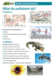 What do pollutants do poster thumbnail and link to pdf