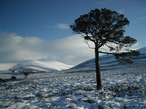 Allt a' Mharcaidh catchment - Image copyright Richard Gwatkin