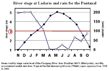 Graph showing flood wave rainfall and high water levels at different times of the year at a site in Southern Pantanal