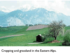 Photo of Eastern Alps