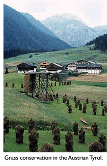 Photo of grass conservation in Austrian Tyrol