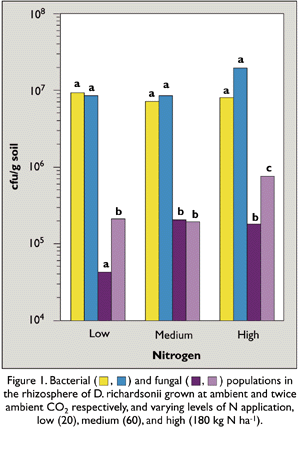 Nitrogen graph