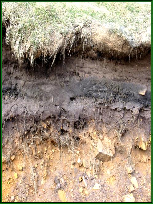 Soil profile