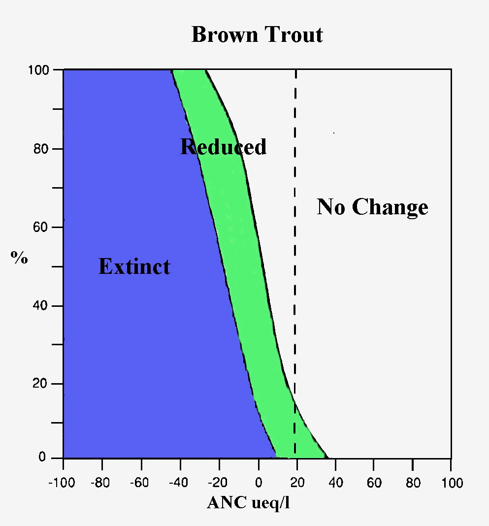 Brown trout v ANC