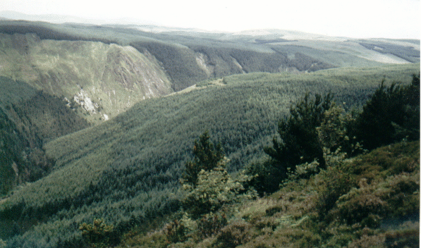 Afon Mynach Catchment