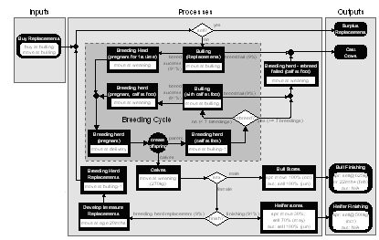 Livestock Systems Model