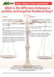 Positive and negative feedback loop poster thumbnail and link to pdf