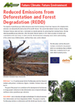 REDD project poster thumbnail and link to pdf