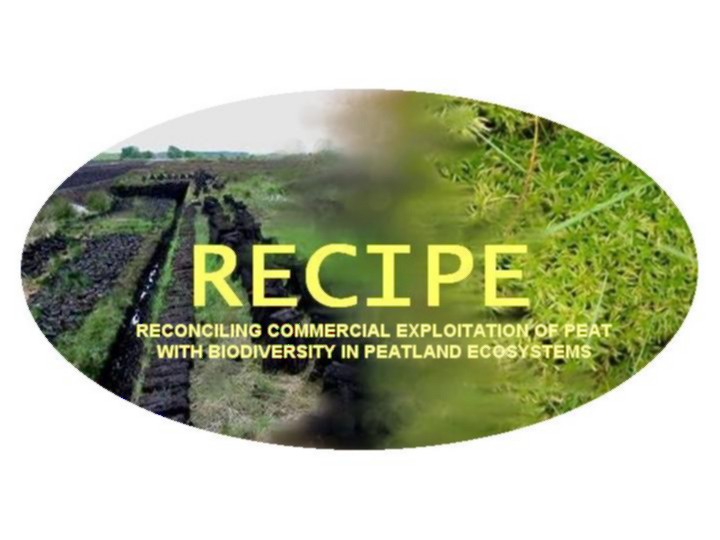Picture of a handcut and milled peat surface merging into a sphagnum moss carpet with the caption: 'RECIPE': Reconciling commercial exploitation of peat with biodiversity in peatland ecosystems