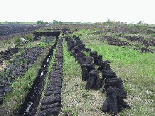 a row of freshly hand-cut peat stacks