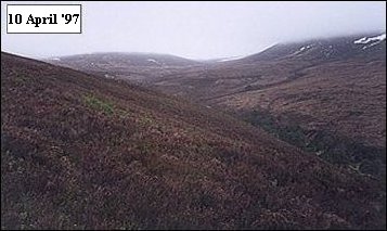 Mharcaidh Snow Survey