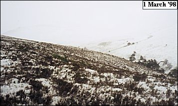 Mharcaidh Snow Survey