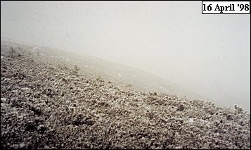 Mharcaidh Snow Survey