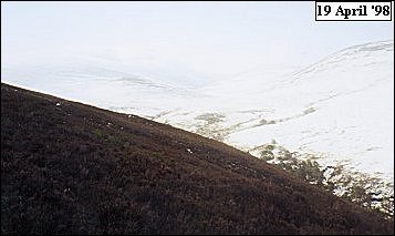 Mharcaidh Snow Survey