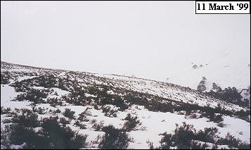 Mharcaidh Snow Survey