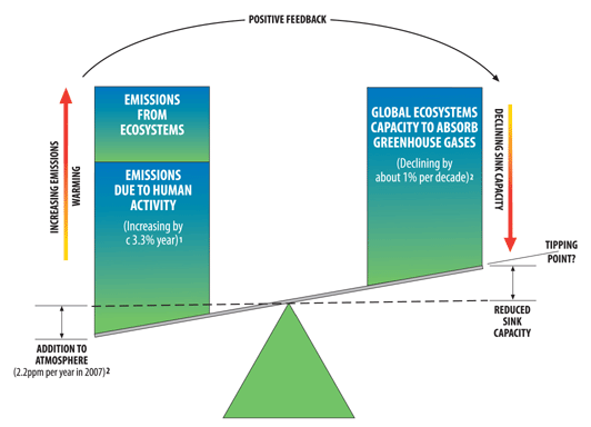 Balancing emissions sources and global ecosystems