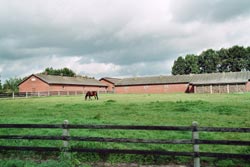 Barnyard with horse (Germany). © Karl Martin Born