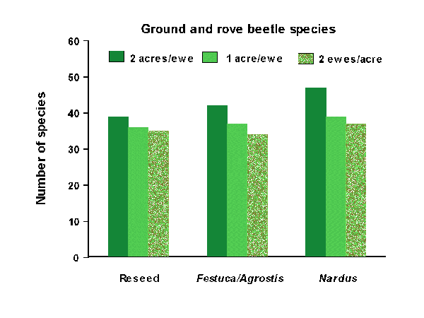 Ground and rove beetle species graph