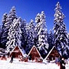 Bulgarian Lifestyle Photographs from http://www.travel-bulgaria.com/
