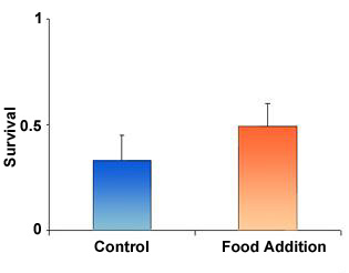 Figure 2A - The Effects of Food Addition on Survival