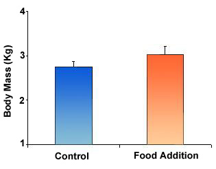 Figure 2B - The Effects of Food Addition on Body Mass