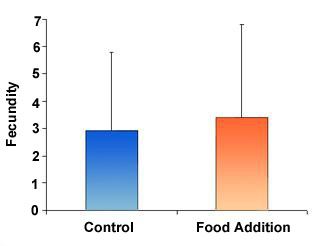 Figure 2C - The Effects of Food Addition on Fecundity