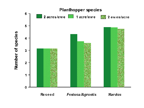 Plant hoppers graph