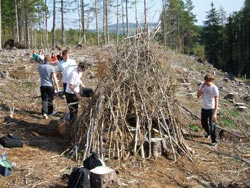 Hut building in clearing (Scotland). © Carlos Galan Diaz