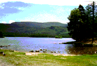 Landscape photo