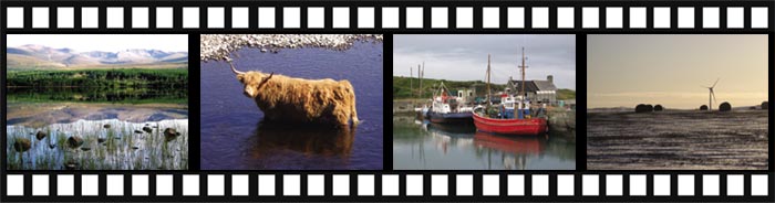 Sample photographs