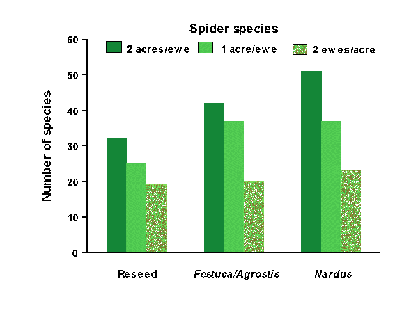 Spider species graph