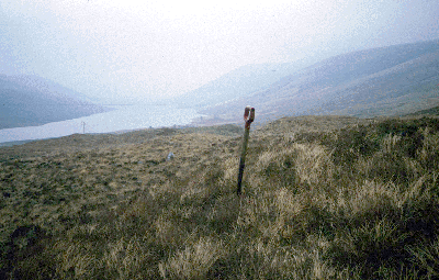 Glen Docherty Landscape