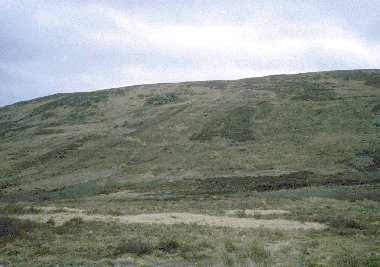 Loch Buidhe Landscape
