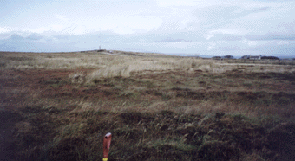 Canisbay