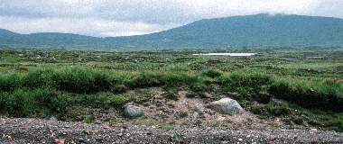 Glencoe Landscape