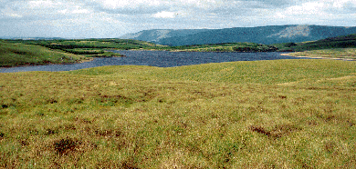Thief's Hill Landscape