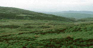 Earl's Hill Landscape
