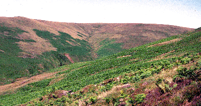 Kaimeknowe Landscape