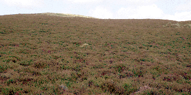 Blacklaw Hill Landscape