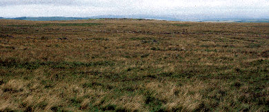 Pinwherry Hill Landscape
