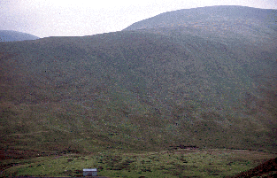 Wylie's Hill Landscape