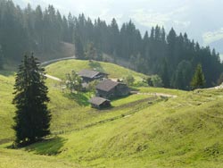 Valley with farmyard (Austria). © Gunter Prager