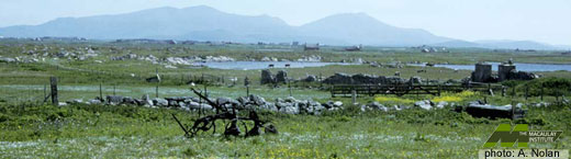 The machair landscape