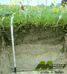 A soil pit showing a cross-section through a machair soil