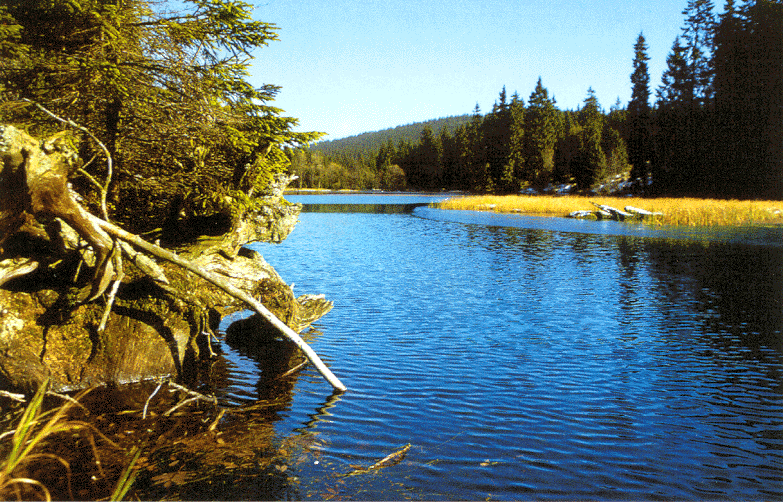 Tatra Mountain Lakes