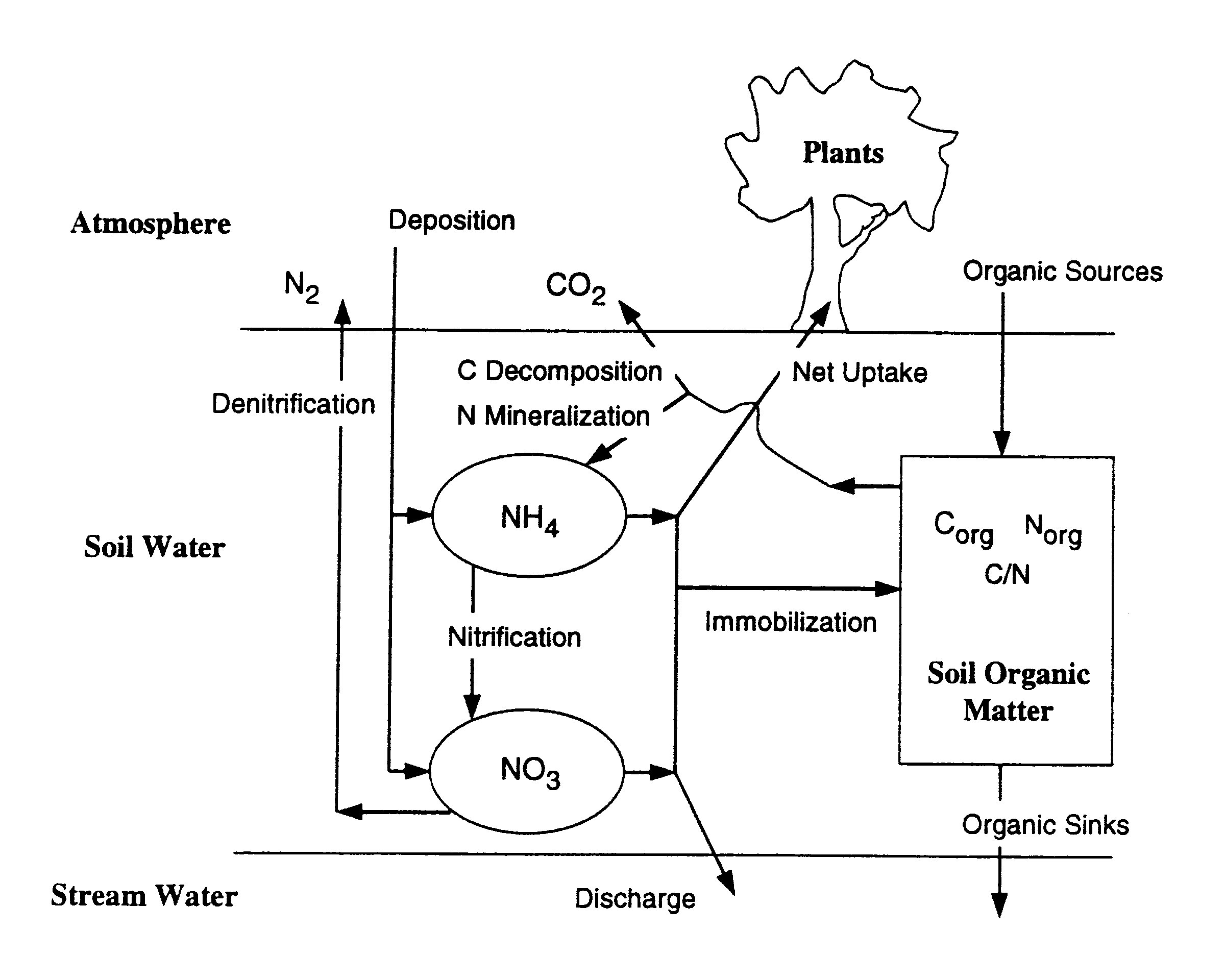 Figure 2 Schematic illustration of the pools and fluxes included in MAGIC for use in simulating the dynamics of organic and inorganic nitrogen in soils