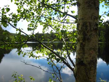 Glen Tanar Estate nr Aboyne, Scotland