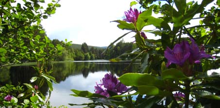 Glen Tanar Estate - part of the Cairngorms National Park